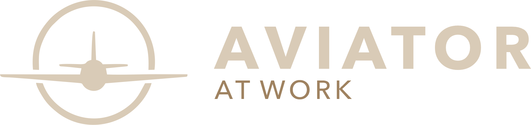 Aviator at Work
